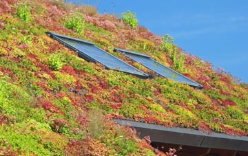 Pentref Y Groes living roof systems